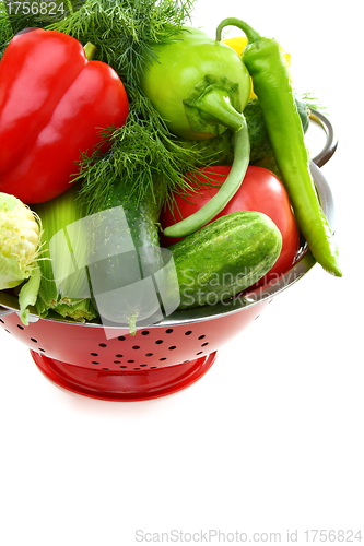 Image of  Fresh vegetables in metal colander.