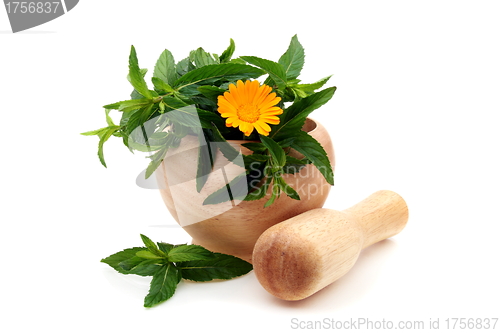 Image of Mint leaves and Calendula in a wooden mortar.