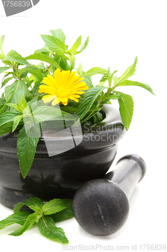 Image of  Medicinal plants in a stone mortar.