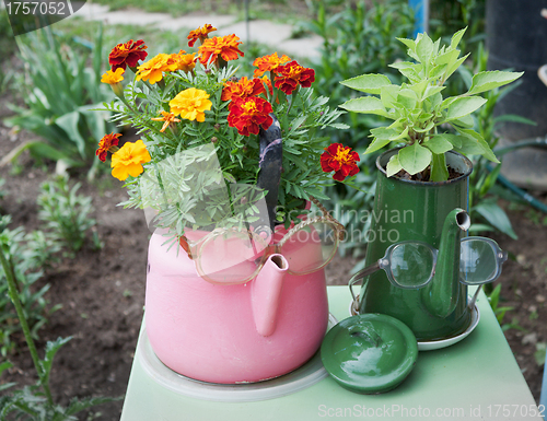 Image of Old kettles used in garden design