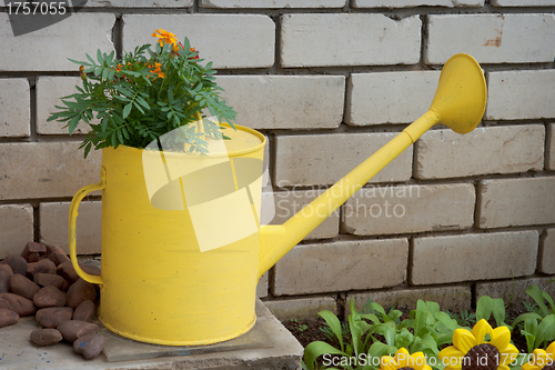 Image of Old watering in garden design