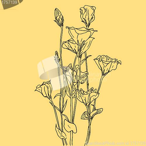 Image of vector flower background