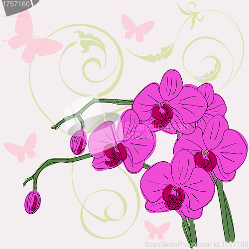 Image of  twig blossoming orchids 