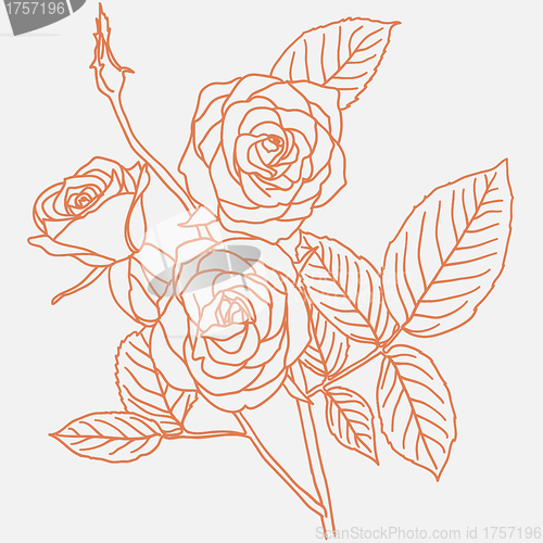 Image of hand drawing illustration of a  bouquet of roses 