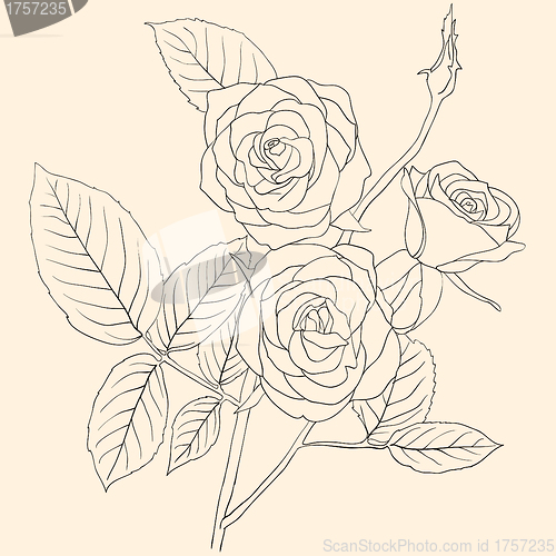 Image of hand drawing illustration of a  bouquet of roses 