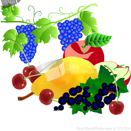 Image of set of fruits