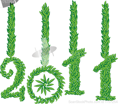 Image of new year 2011