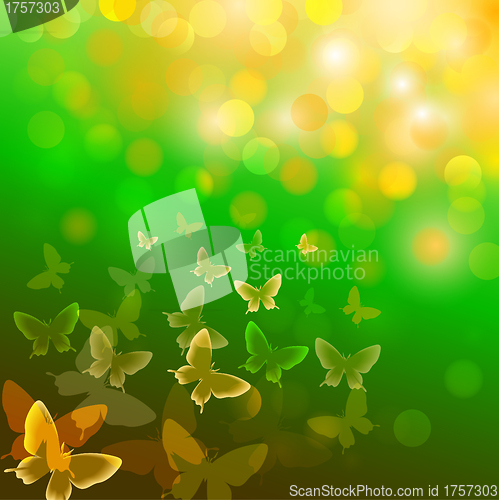 Image of Abstract colourful background with butterflies