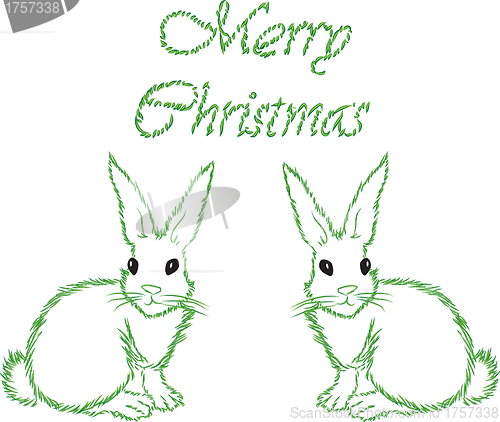 Image of The white hare with 