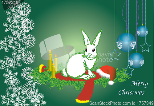 Image of The white hare 