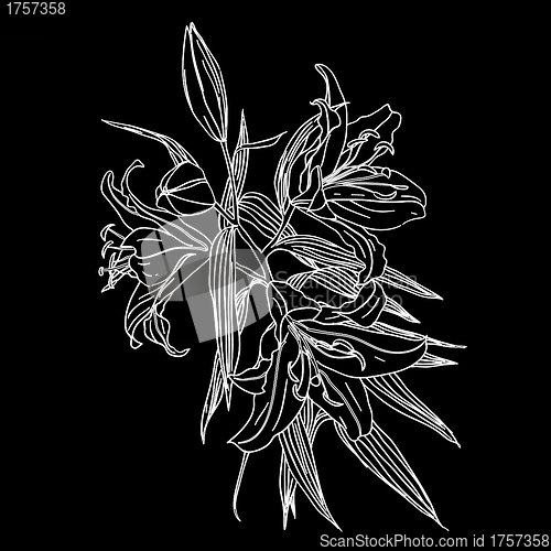 Image of Black and white background with white flowers