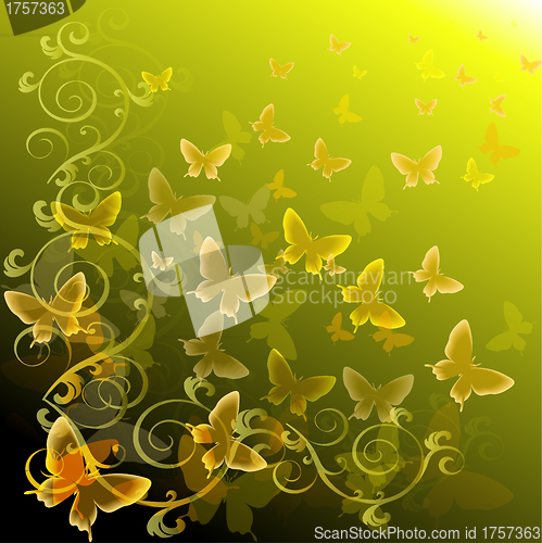 Image of Abstract colourful background with butterflies