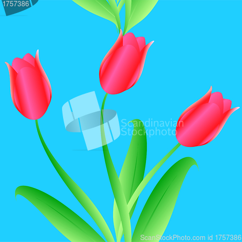 Image of Elegance Seamless color tulips pattern