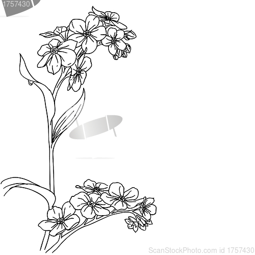 Image of tender twig blossoming orchids on a light background 