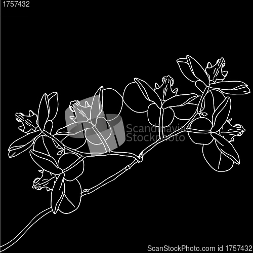 Image of Stylized orchid branch design , vector illustration