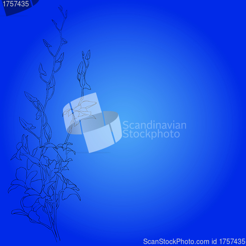 Image of Background with blooming flowers