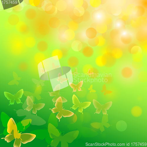 Image of Abstract colourful background with butterflies