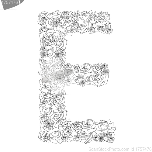Image of Flower alphabet of red roses, characters E