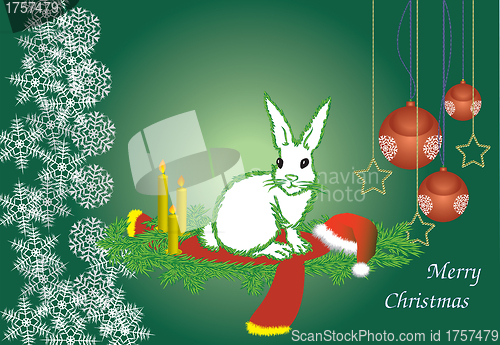 Image of The white hare 