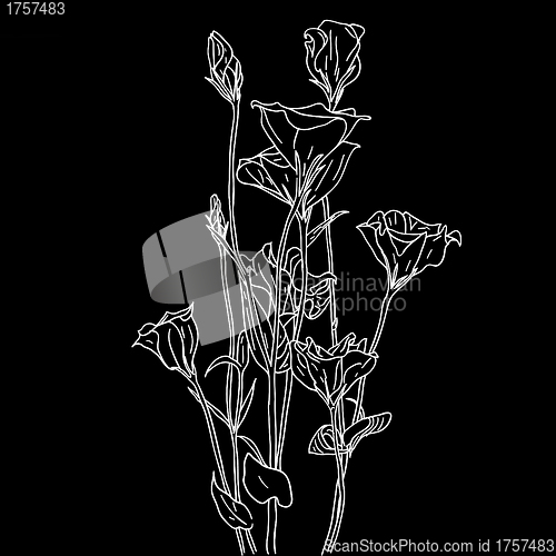 Image of vector flower background