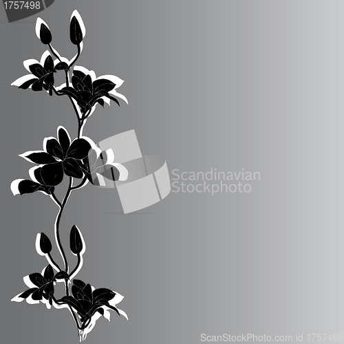 Image of Vector background with orchids