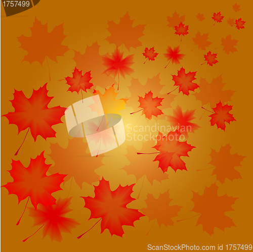 Image of abstract flora background