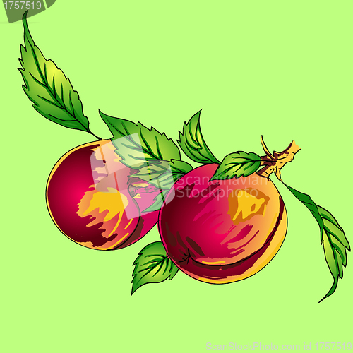 Image of Two peaches with leaves on a branch on a light background