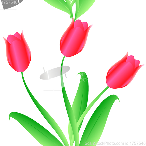 Image of Elegance Seamless color tulips pattern 