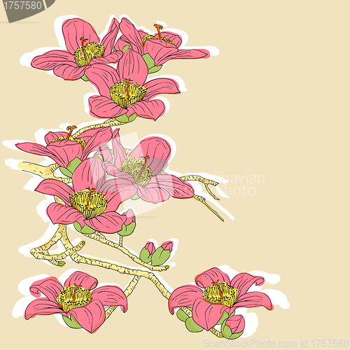 Image of tender twig blossoming orchids on a light background 