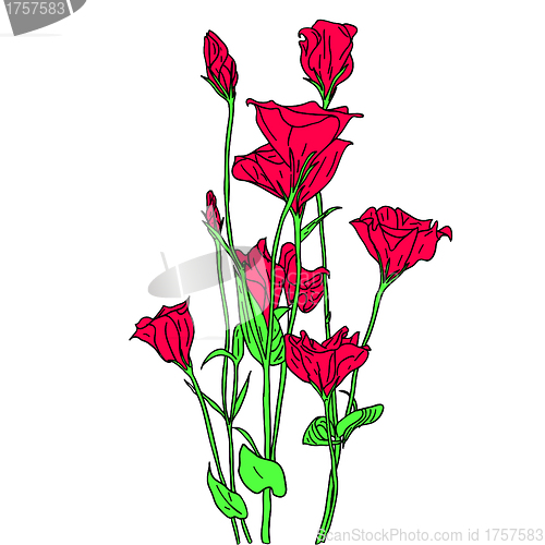 Image of vector flower background