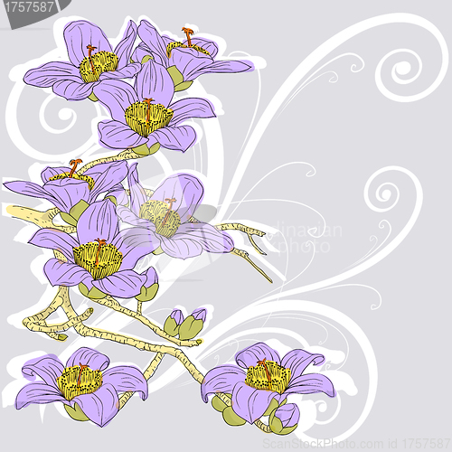 Image of tender twig blossoming orchids on a light background 