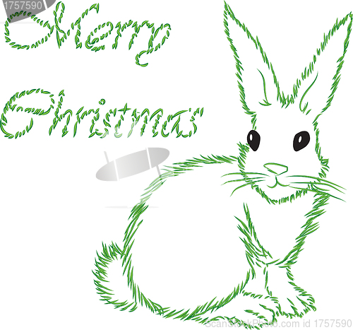 Image of The white hare 