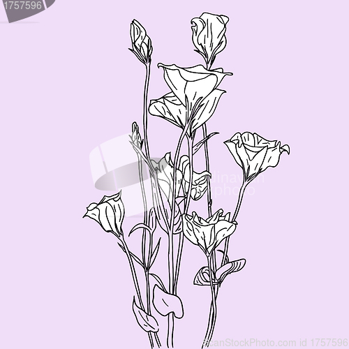 Image of vector flower background