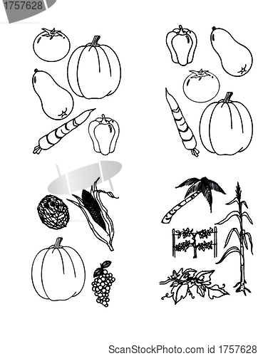 Image of vector set - doodles - vegetables