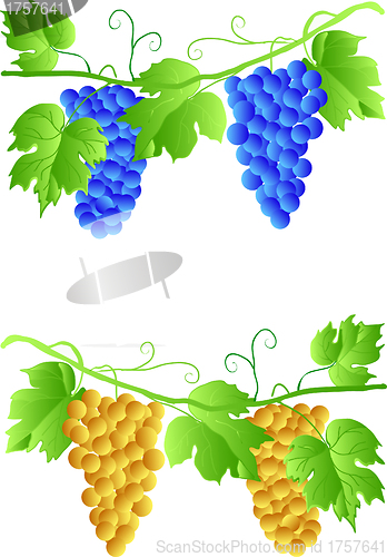 Image of EPS 10 Three cluster of grapes