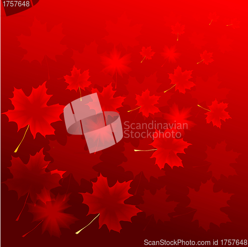 Image of abstract flora background