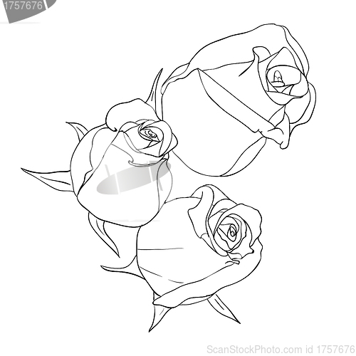 Image of floral design element and hand-drawn , vector illustration