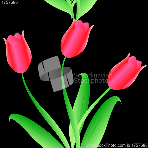 Image of Elegance Seamless color tulips pattern 