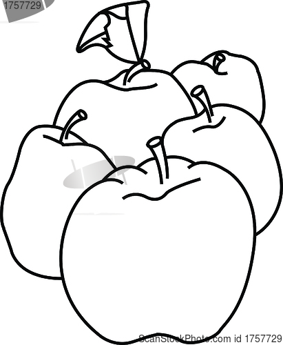 Image of Vector plum, apple and pear