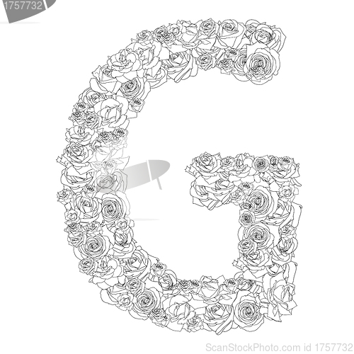 Image of Flower alphabet of red roses, characters G