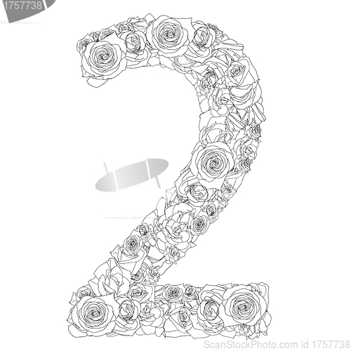 Image of Flower alphabet of red roses, characters 2