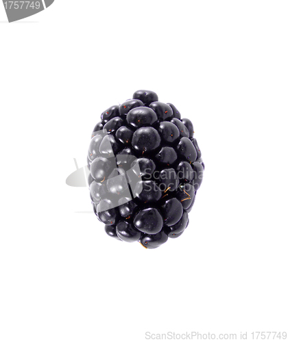 Image of Single blackberry isolated on a white background