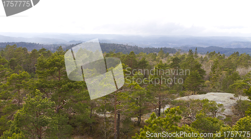 Image of view over forest with cloudy sky