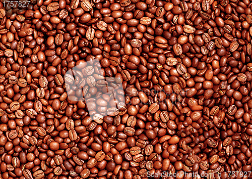 Image of Coffee beans closeup background