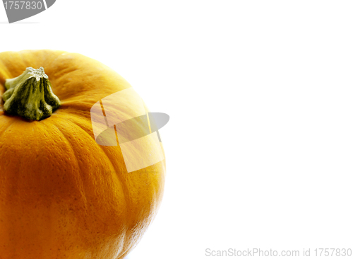 Image of Orange pumpkin in closeup over white background
