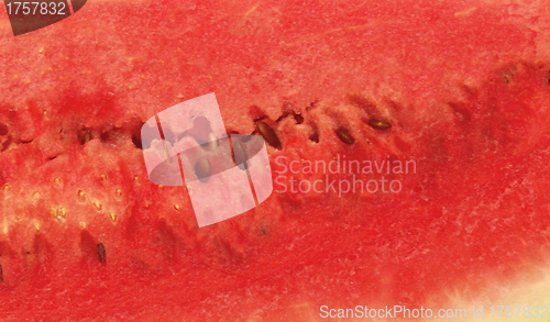 Image of detailed closeup of watermelon