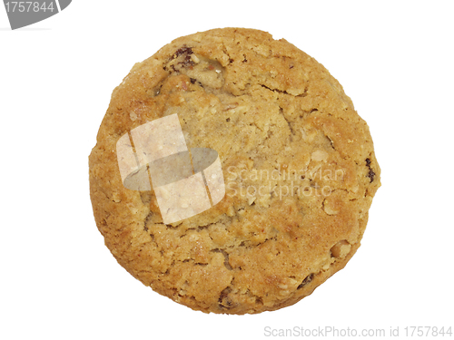 Image of Chocolate Chip Cookie isolated with a clipping path