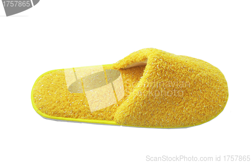 Image of yellow slipper isolated