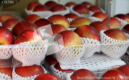 Image of Apples stand