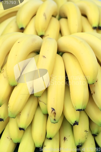Image of Bananas